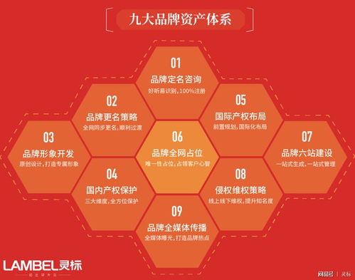 青青國(guó)際攜手國(guó)際品牌管理機(jī)構(gòu)，為參展企業(yè)注入全球品牌新動(dòng)力